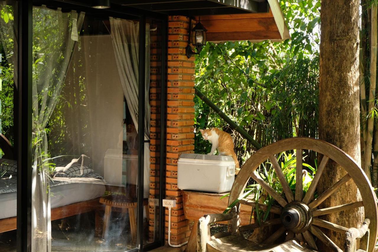 Ashi Guesthouse Chiangdao Chiang Dao Exteriér fotografie